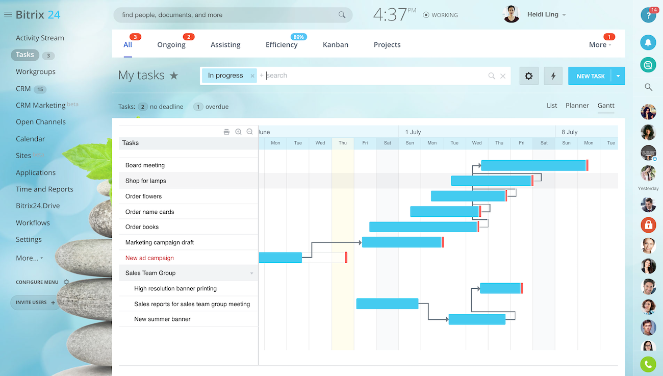 Free online team task management