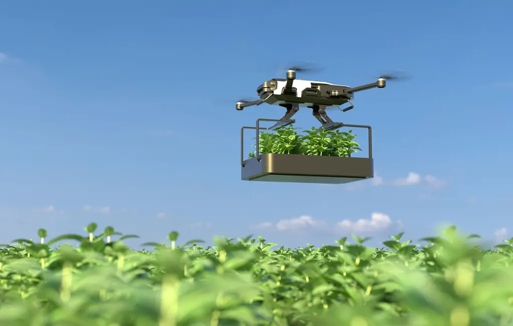 7 Ways Automation Is Changing Indian Agriculture: From Traditional Fields to Smart Farms