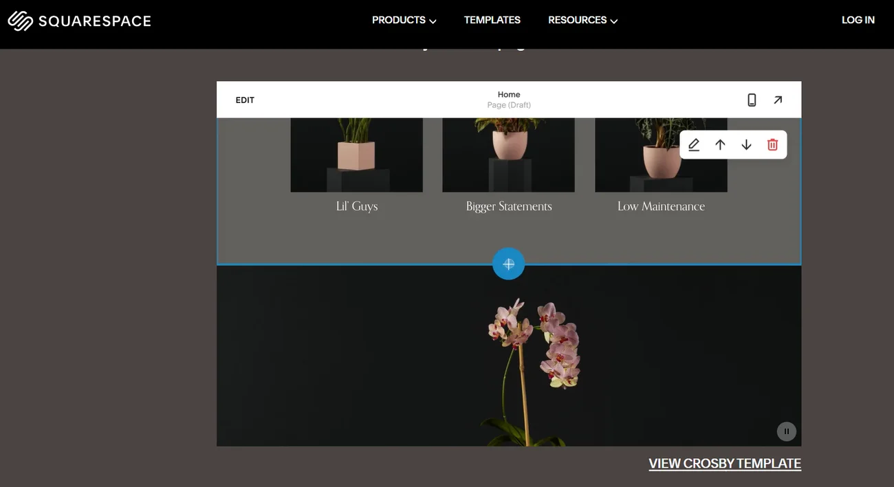 The Best Photographer Website Builder In 2024